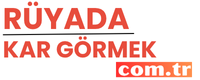 ruyadakargormek.com.tr